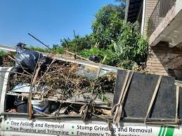 Best Scrap Metal Removal  in Wtmore Village, HI